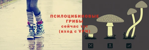 бошки Медвежьегорск