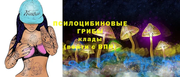 mdma Медногорск