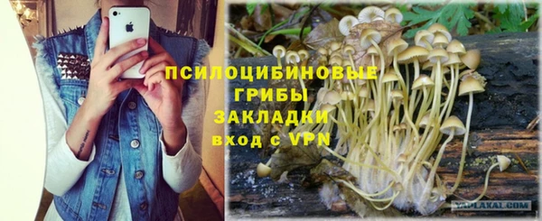 дмт Михайловка