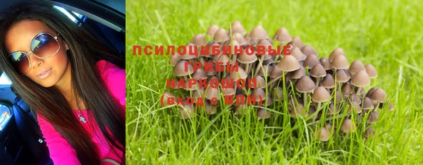 СК Михайлов