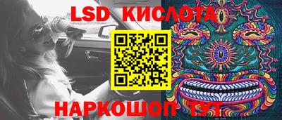 трава Кандалакша