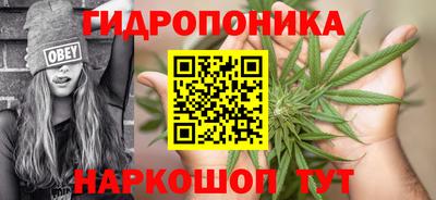 дурь Канаш