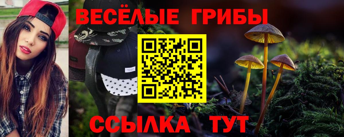Псилоцибиновые грибы MAGIC MUSHROOMS Миллерово